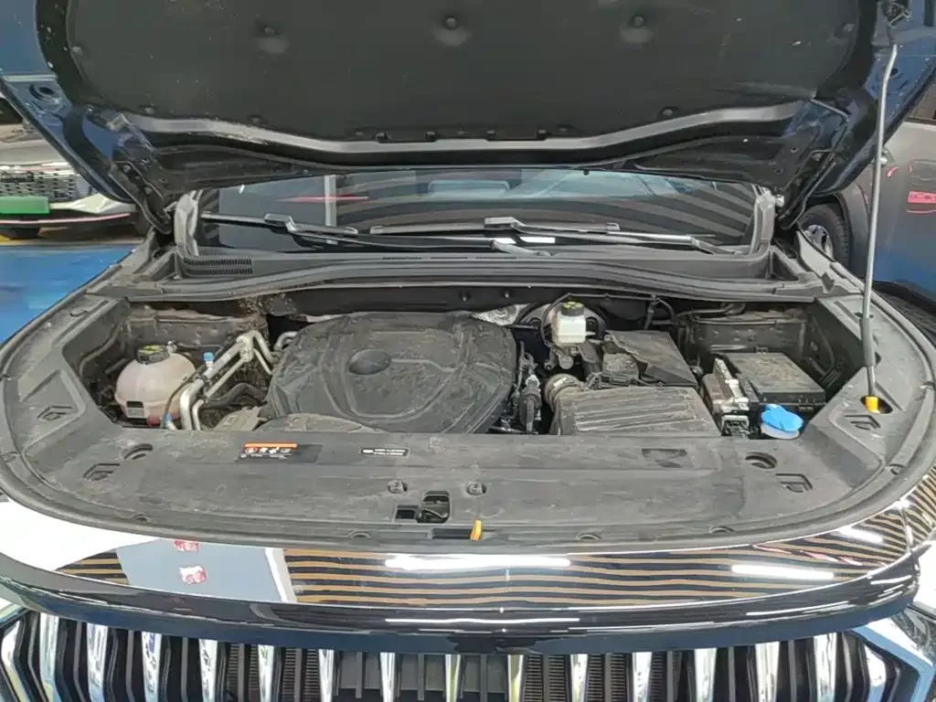 Geely Haoyue L 2024 Model 2.0T DCT Premium — Фото автомобиля 19