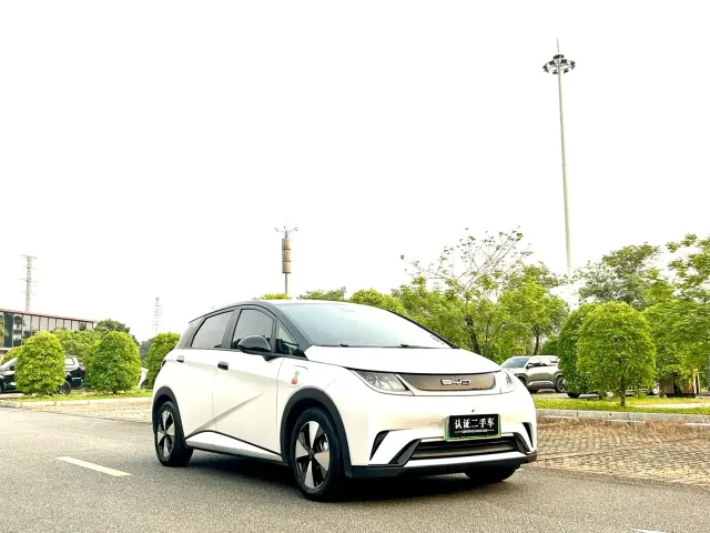 BYD Dolphin — Фото автомобиля 4