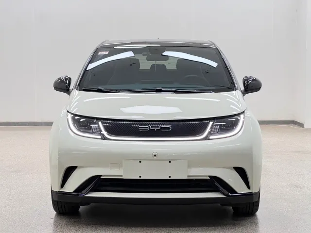 BYD Dolphin — Фото автомобиля 2