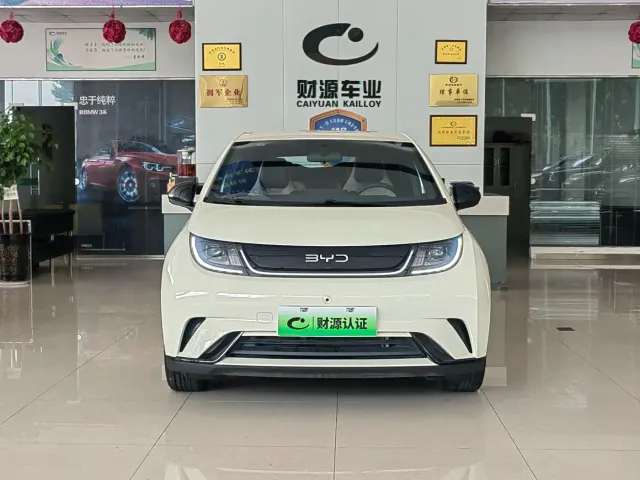 BYD Dolphin — Фото автомобиля 2