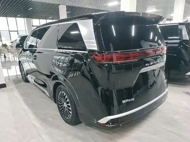 Denza Denza D9 2022 DM-i 970 AWD Flagship — Фото автомобиля 4