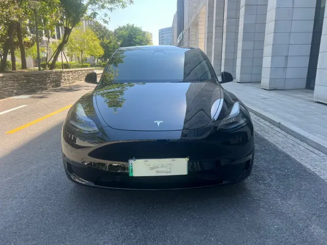Tesla Model Y — Фото автомобиля 2
