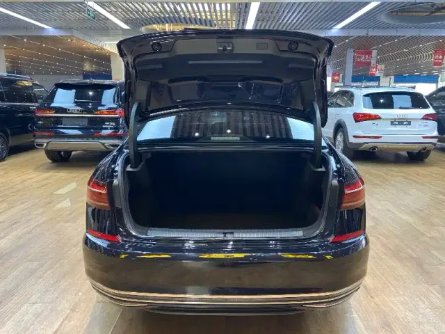 Volkswagen Passat — Фото автомобиля 20