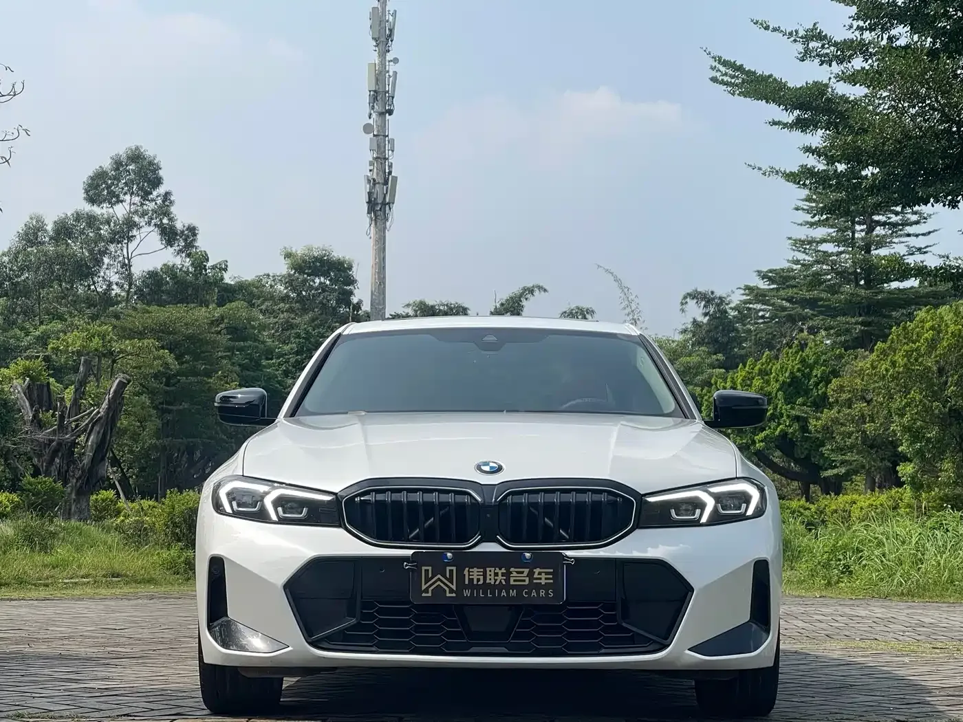 BMW BMW 3 Series 2025 330Li M Sport Night Edition — Фото автомобиля 2
