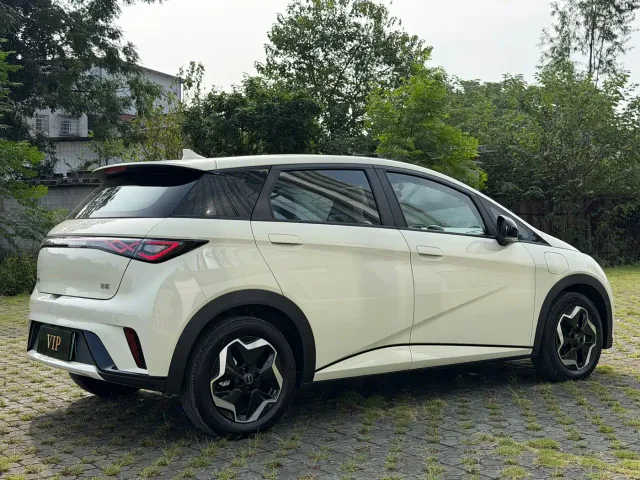 BYD Dolphin — Фото автомобиля 4