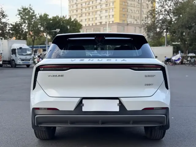 Venucia Venucia Big V 2022 260T Dark Horse Edition·Idol — Фото автомобиля 11