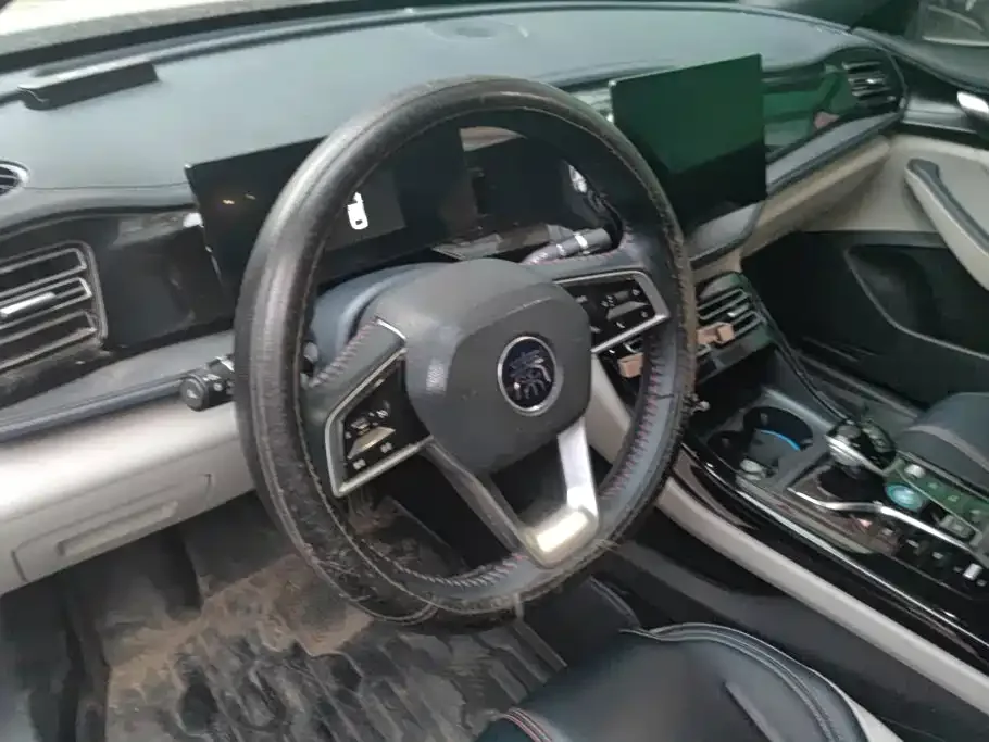BYD Qin PLUS 2023 Champion Edition DM-i 55KM Leading — Фото автомобиля 12