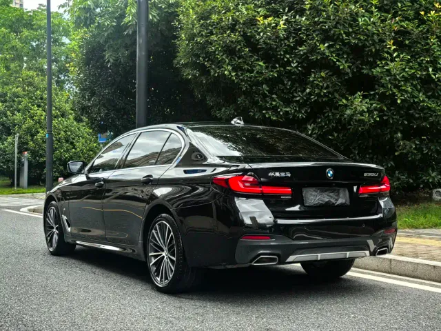 BMW 5 Series — Фото автомобиля 6