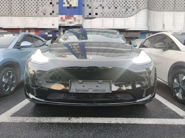 Tesla Model Y — Фото автомобиля 2