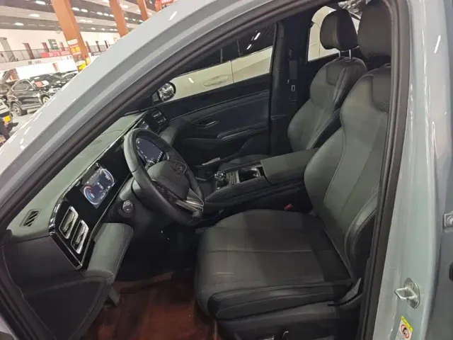 BYD Qin L — Фото автомобиля 14