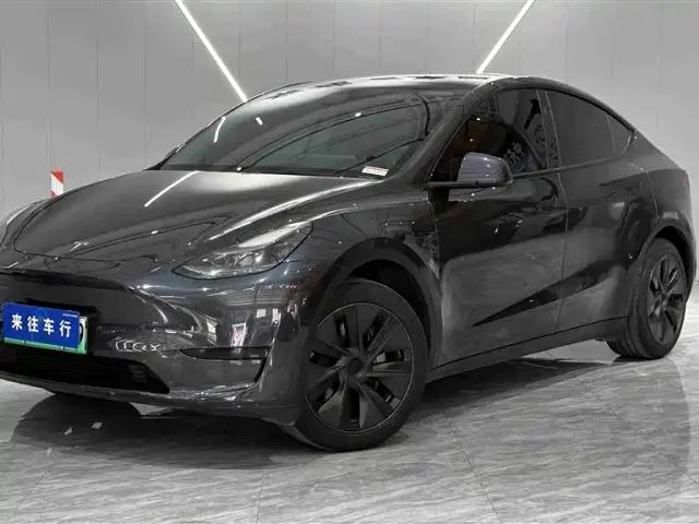 Tesla Model Y — Фото автомобиля 2
