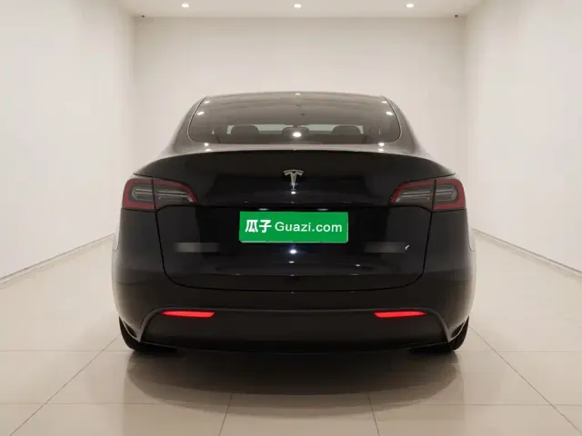 Tesla Model Y — Фото автомобиля 3