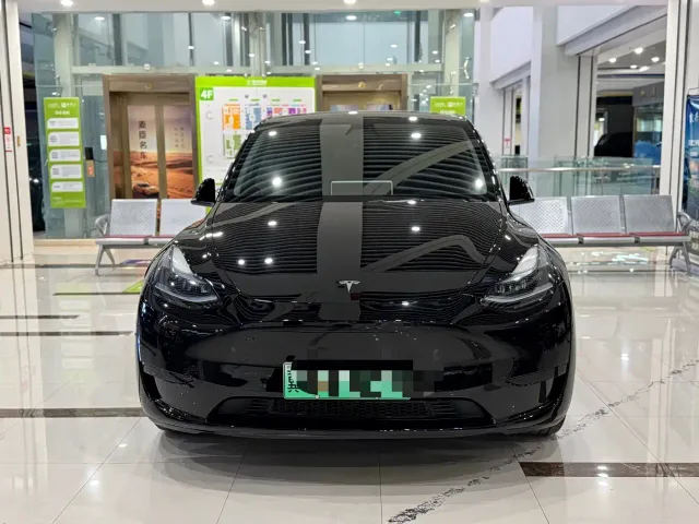 Tesla Model Y — Фото автомобиля 2
