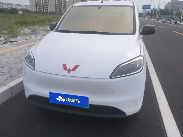 Wuling Motors Wuling Hongguang New Energy 2024 Model Pure Electric 300KM Utility Version — Фото автомобиля 2