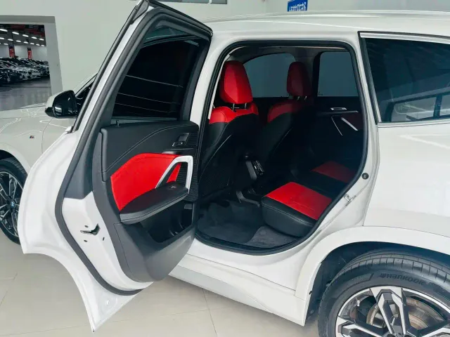 BMW X1 — Фото автомобиля 11