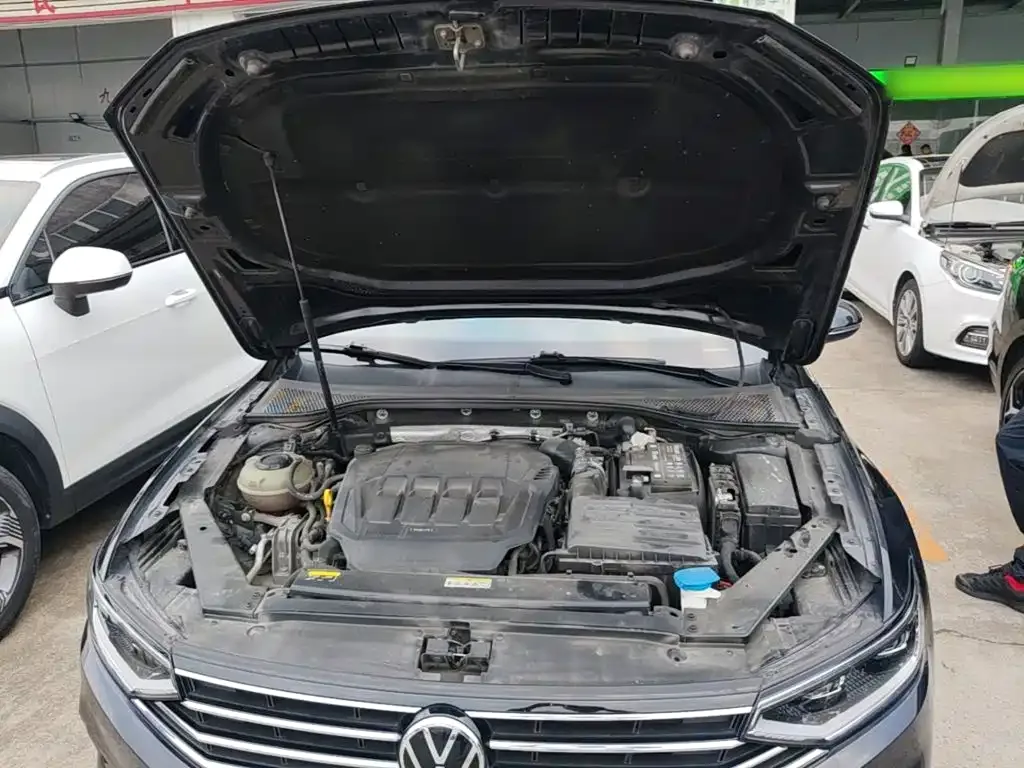 Volkswagen Magotan 2020 330TSI DSG Leading — Фото автомобиля 19