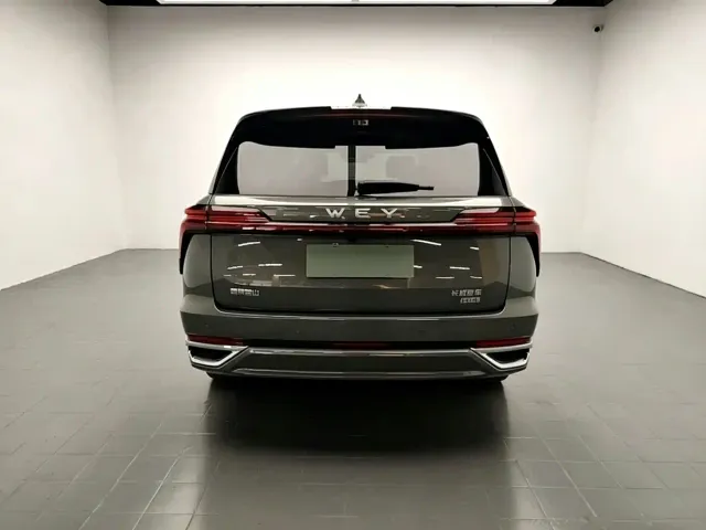 Wey Lanshan — Фото автомобиля 6