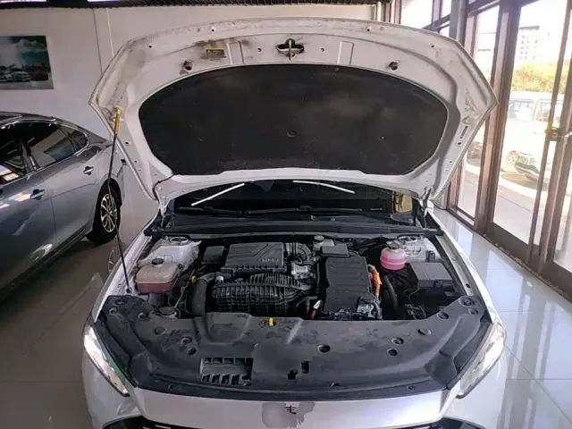BYD Qin PLUS — Фото автомобиля 19