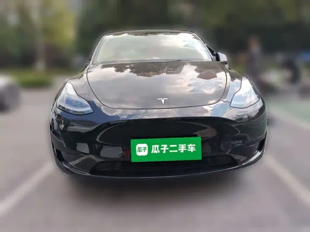 Tesla Model Y — Фото автомобиля 2