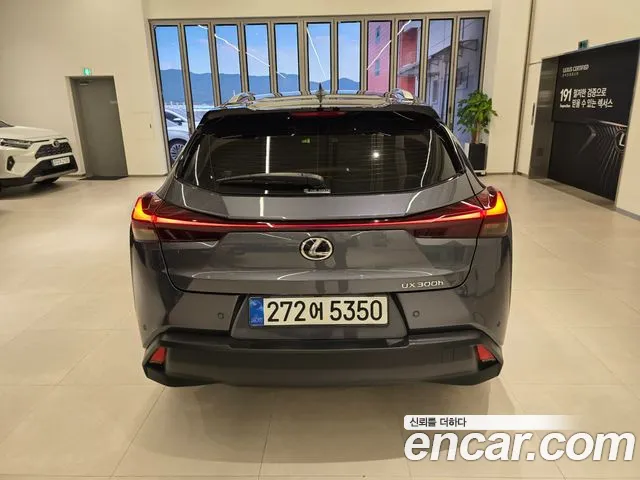Lexus UX UX300h — Фото автомобиля 4