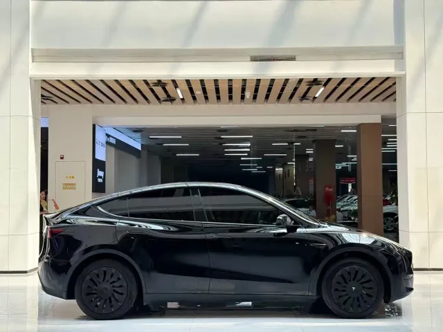 Tesla Model Y — Фото автомобиля 4