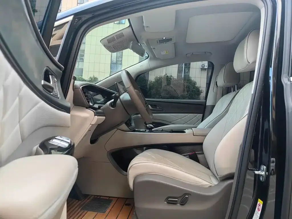 Denza Denza D9 2022 DM-i 1040 Premium — Фото автомобиля 10