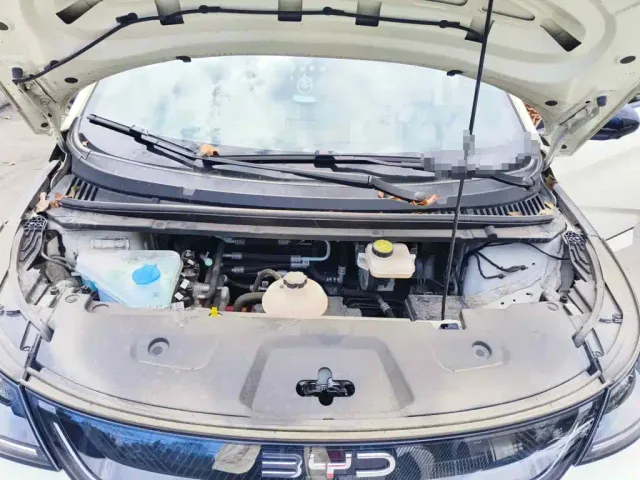 BYD Dolphin — Фото автомобиля 3