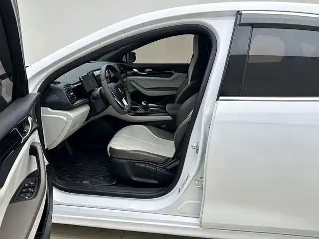 BYD Qin PLUS — Фото автомобиля 13