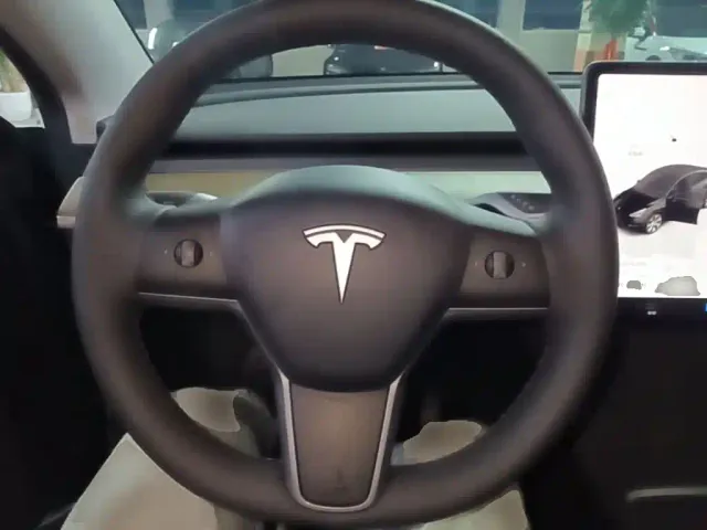 Tesla Model Y — Фото автомобиля 10