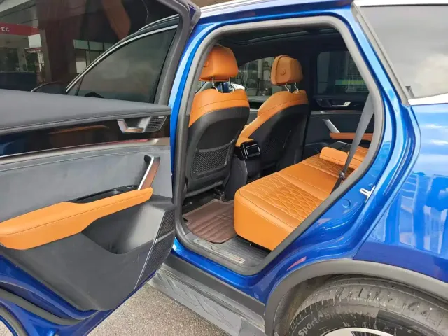 BYD Tang New Energy 2022 DM-i 252KM Executive — Фото автомобиля 14