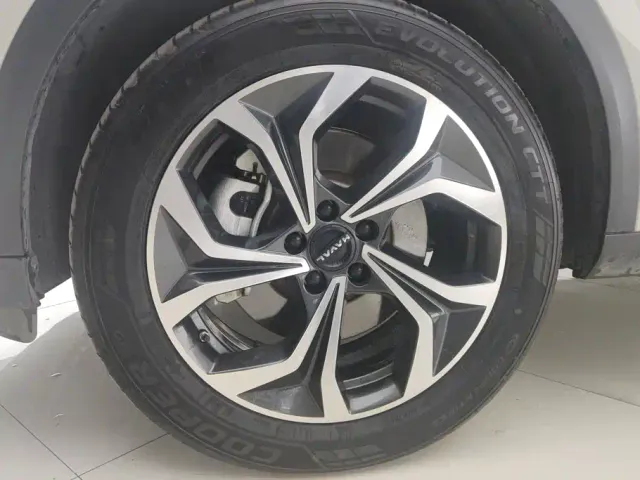 Haval Xiaolong MAX — Фото автомобиля 6