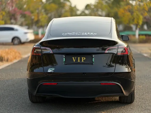 Tesla Model Y — Фото автомобиля 8