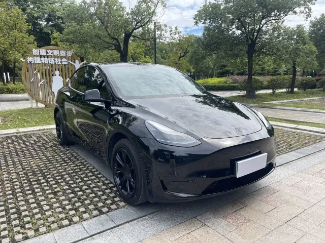 Tesla Model Y — Фото автомобиля 3