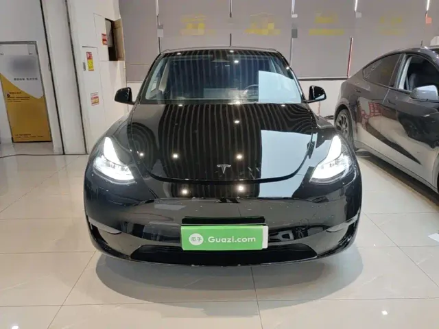 Tesla Model Y — Фото автомобиля 2