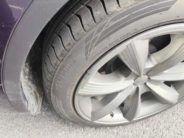 Tesla Model Y — Фото автомобиля 7