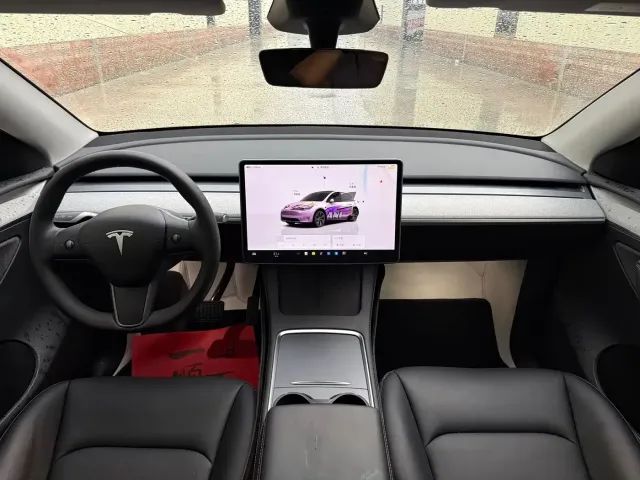 Tesla Model Y — Фото автомобиля 27