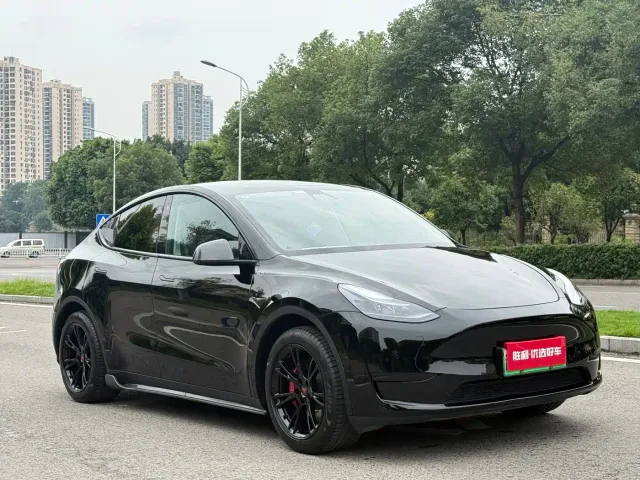 Tesla Model Y — Фото автомобиля 3