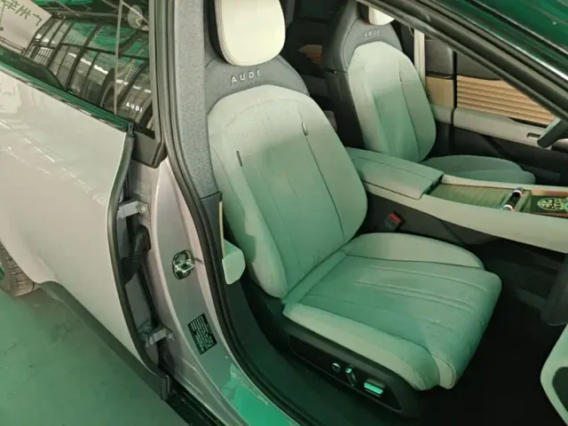 Audi E5 Sportback — Фото автомобиля 24