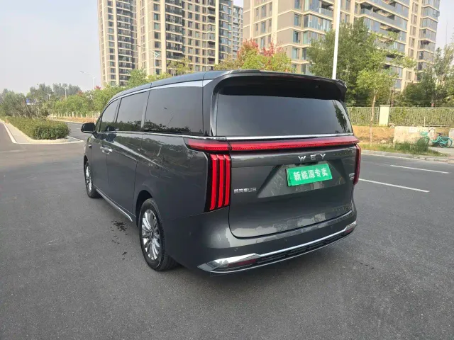 Wey Alpine — Фото автомобиля 7