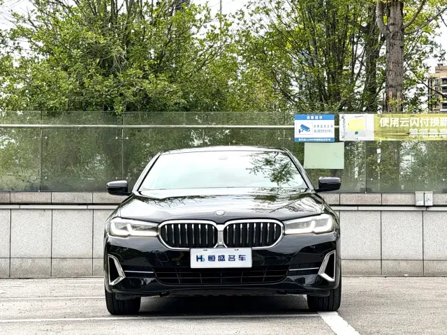 BMW BMW 5 Series 2022 530Li Leading Luxury Package — Фото автомобиля 2