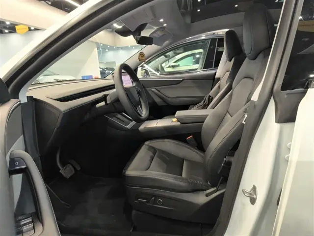Tesla Model Y — Фото автомобиля 11