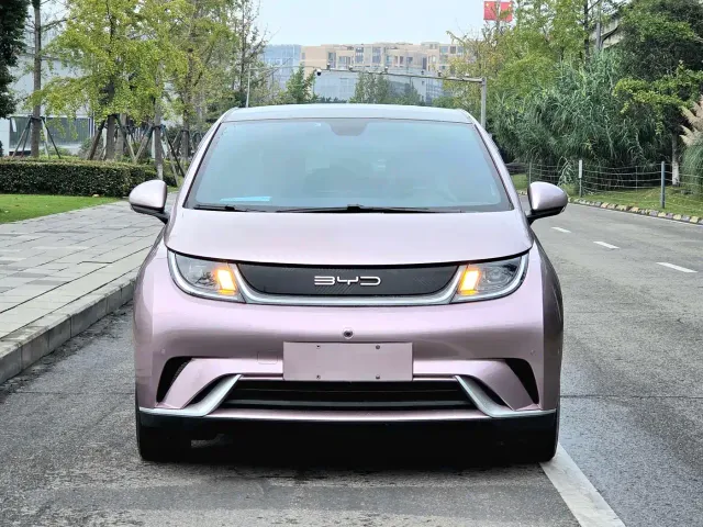 BYD Dolphin — Фото автомобиля 2