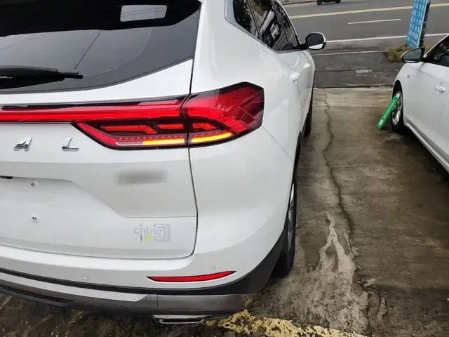 Haval Haval H6 2021 Model National Trend Edition 1.5T Auto Champion — Фото автомобиля 7