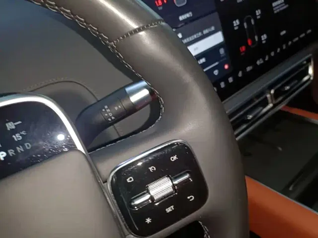 Li Auto L9 — Фото автомобиля 13