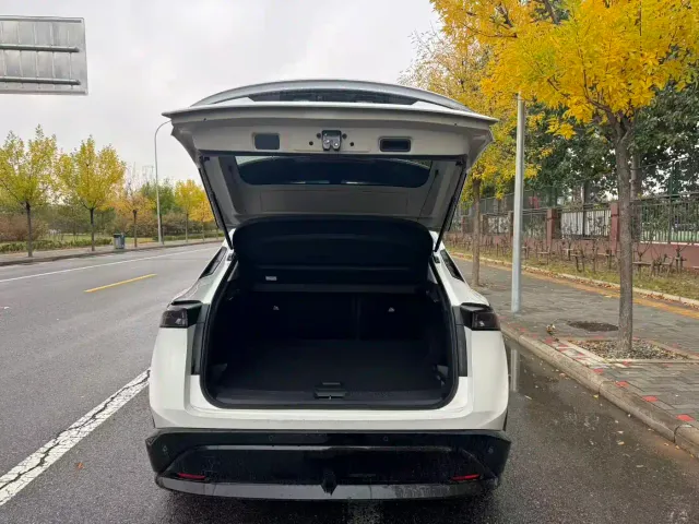 Nissan Ariya — Фото автомобиля 14