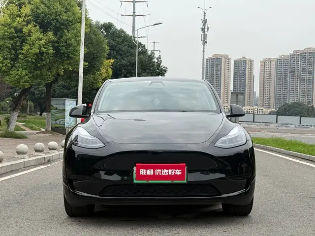 Tesla Model Y — Фото автомобиля 2