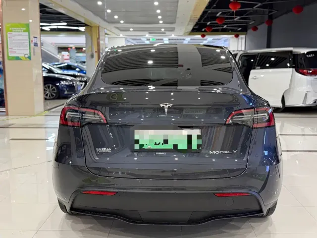 Tesla Model Y — Фото автомобиля 8