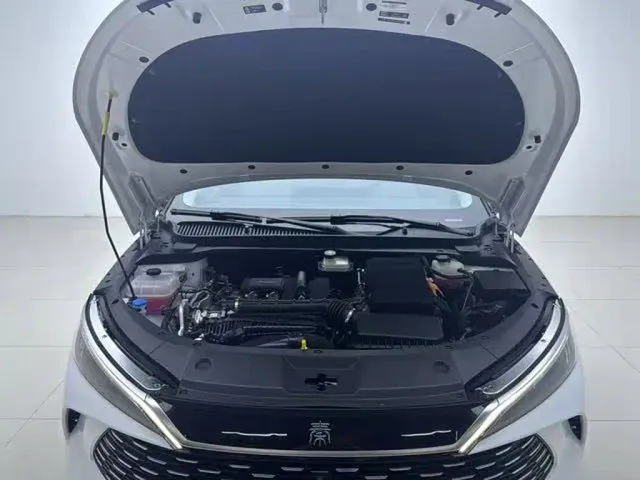 BYD Qin L — Фото автомобиля 17