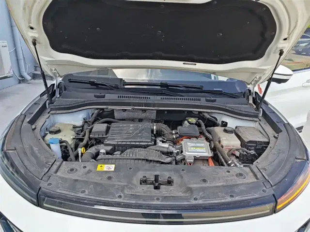 JAC Motors JAC QX PHEV — Фото автомобиля 19