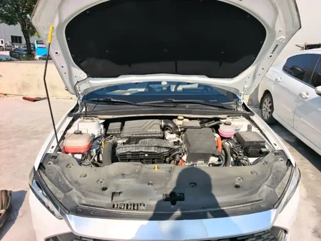 BYD Qin PLUS — Фото автомобиля 19